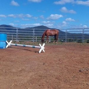 Meet your Posher, Alisha